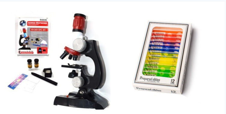 Exciting Microscope for Children - 100x to 1200x Magnification