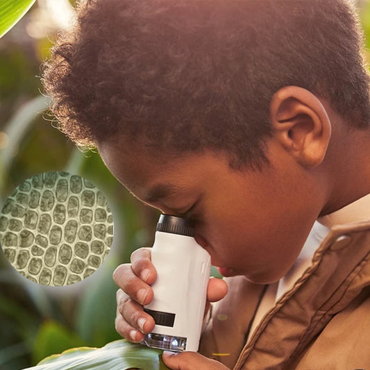 Fun-filled Hand-held 120X Children Microscope